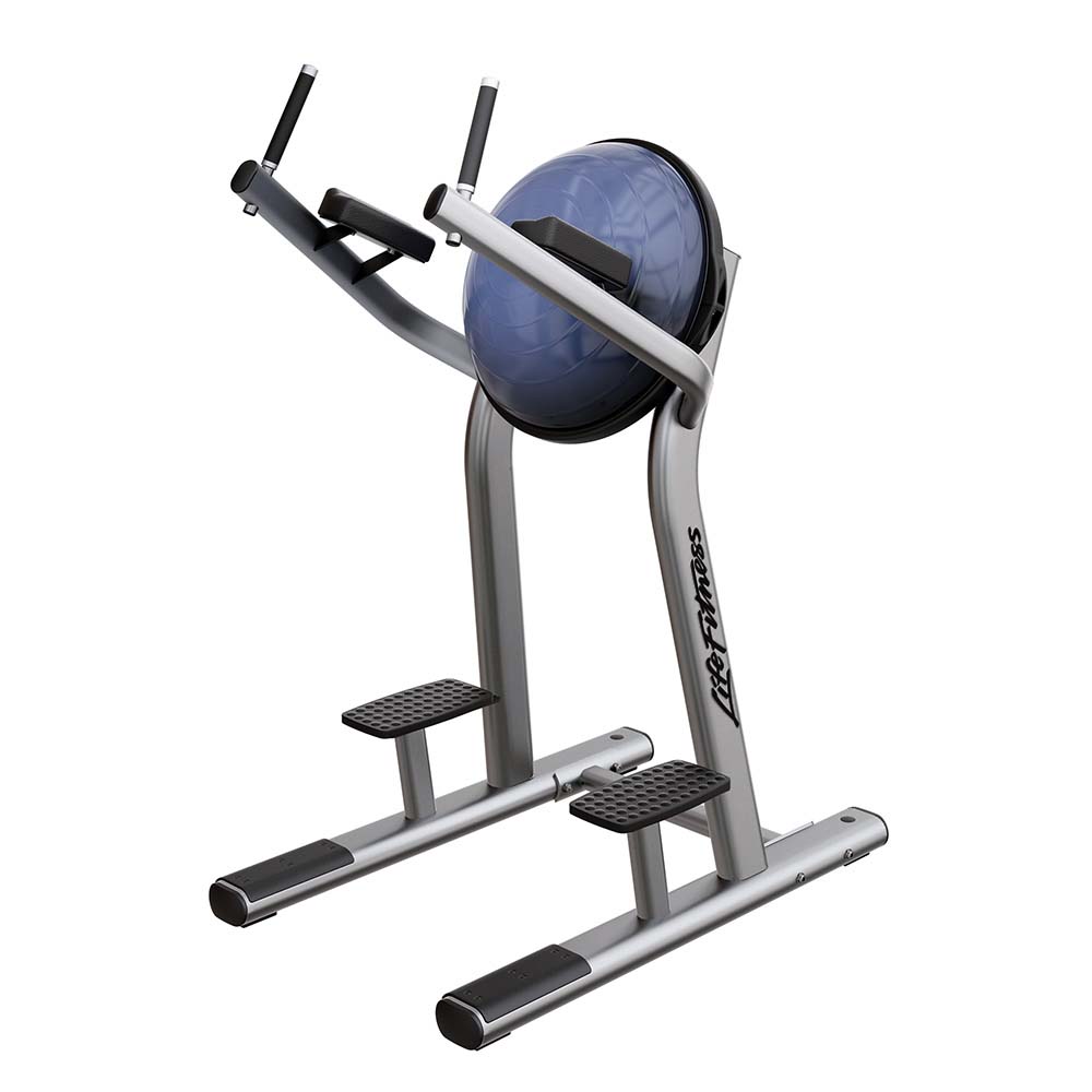 Life Fitness Signature Leg Raise, platinum frame / black upholstery, blue back support, logo