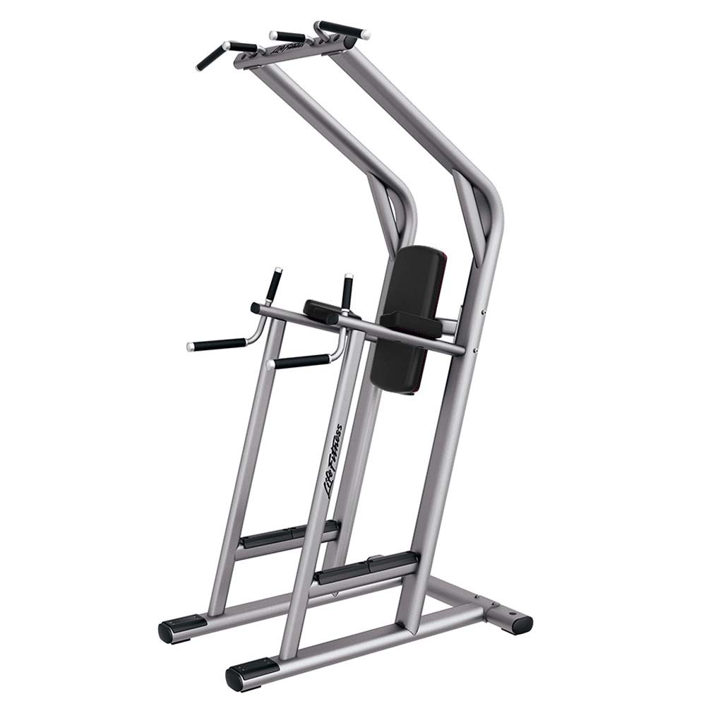 Life Fitness Signature Leg Raise bench with platinum frame / black upholstery, logo on side