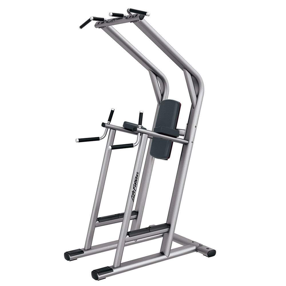 Life Fitness Signature Leg Raise bench with platinum frame / Graphite upholstery, logo on side