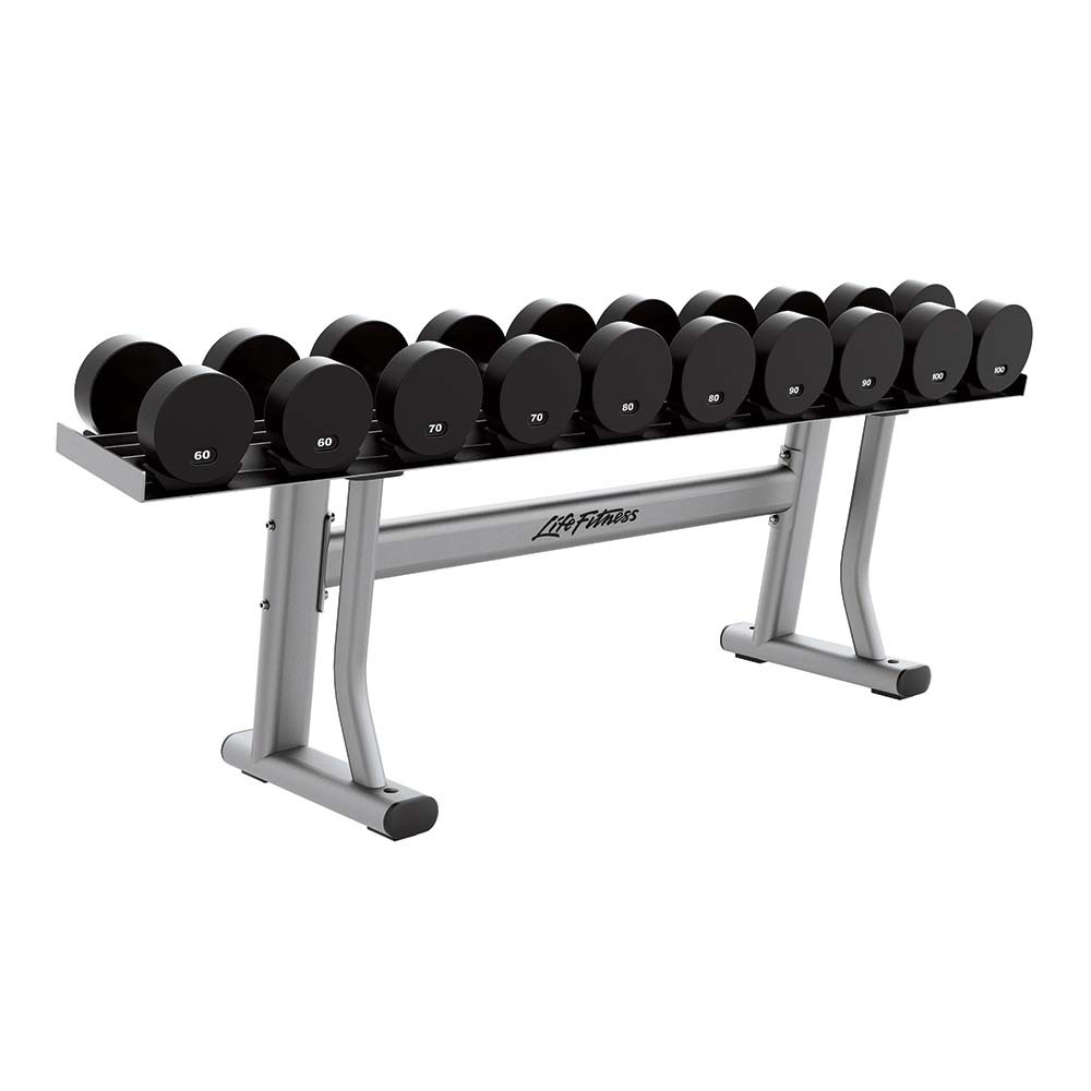 Life Fitness Single Tier Dumbbell Rack with platinum frame and black logo with 60 - 100LB dumbbells on rack