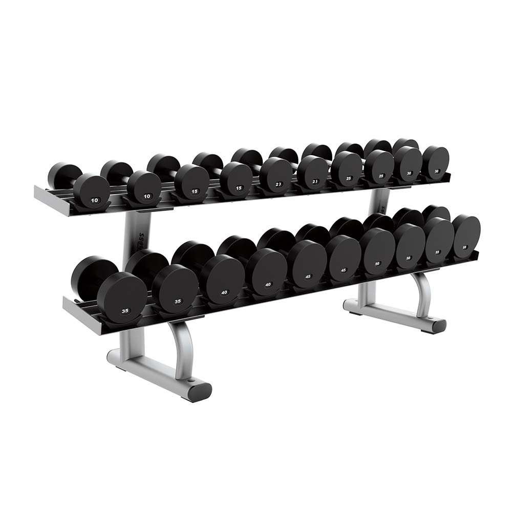 platinum frame two tier dumbbell rack with 10 through 50LB dumbbells on rack